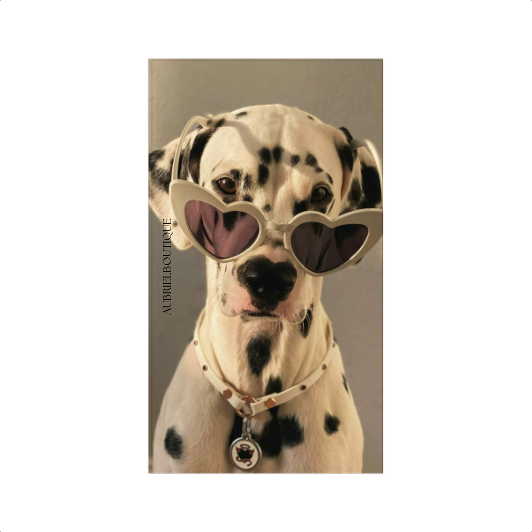 COPERTINA DALMATA - 17