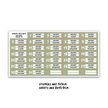 Carica l'immagine nel visualizzatore di Gallery, 2027 DATE HEADERS, spring palette — other colors to select
