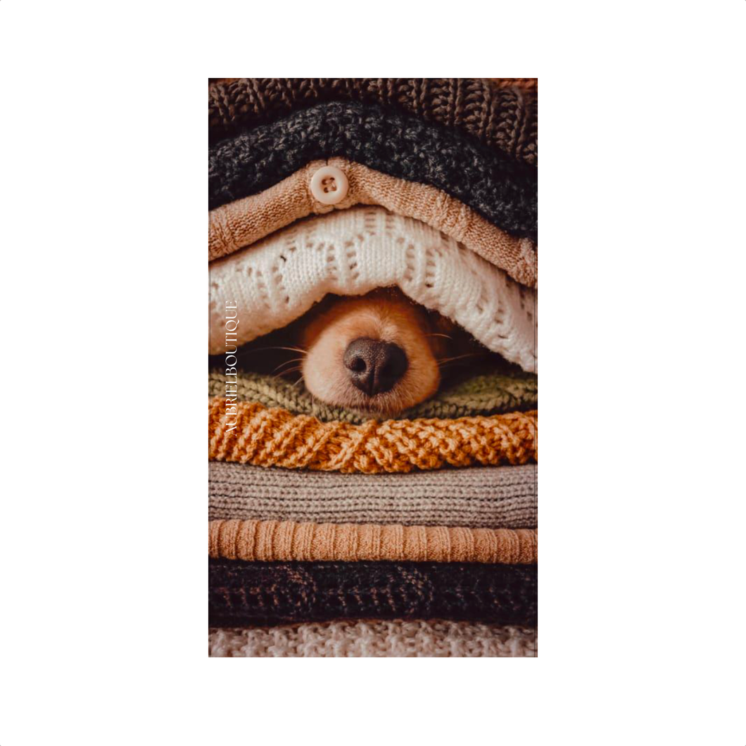 COPERTINA GOLDEN - 20